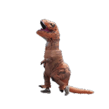 PP